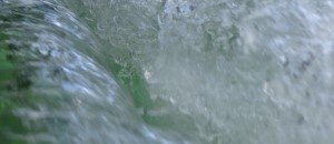 Wasserquelle